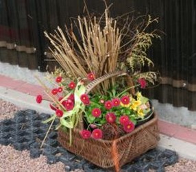 Pferde Herbst Herbst Pferde